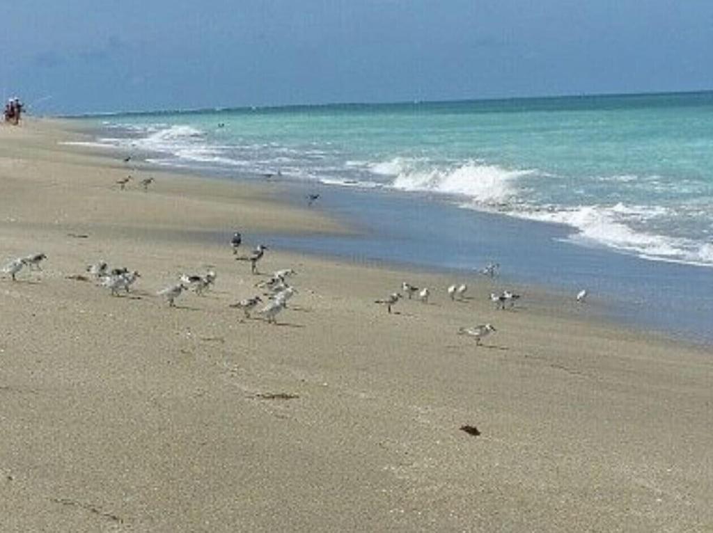 Excellent Beach Front Community, Golf Course, Tennis, Sunny Weather Year Round! Fort Pierce Εξωτερικό φωτογραφία